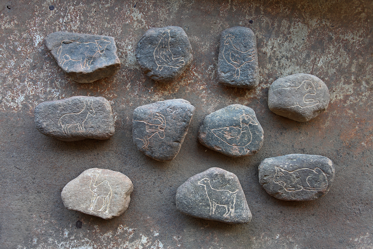 The Comparative Journey, Ten Engraved Stones with Animal Figures Image