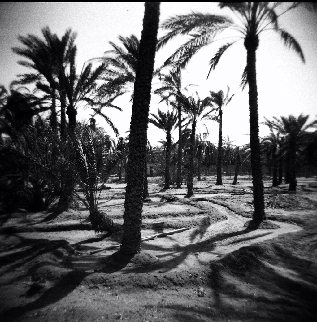 Portrait of a Territory, Sharjah Image