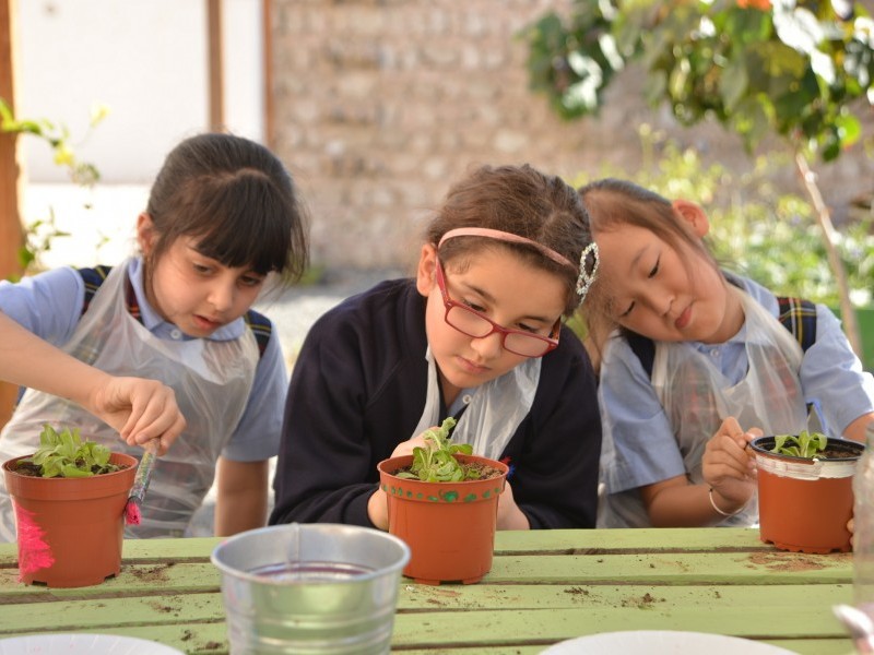 Excursion and Workshop: Making a Field Guide to Plants of the Emirates