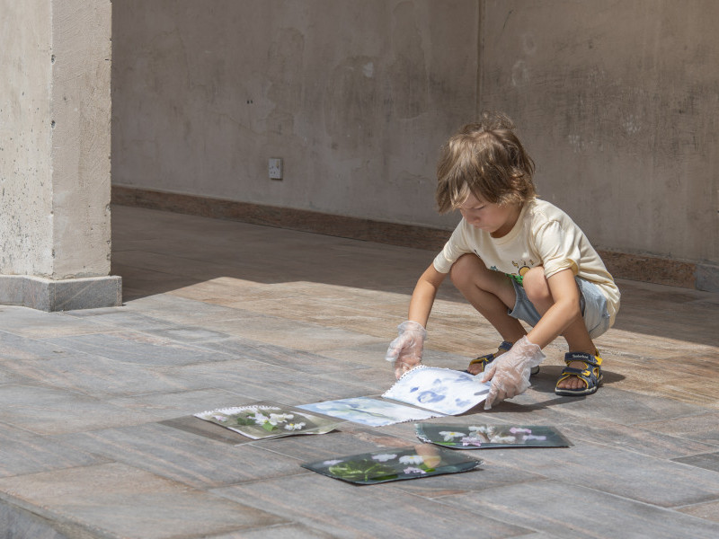 Cyanotype Prints: Al Mureijah Square