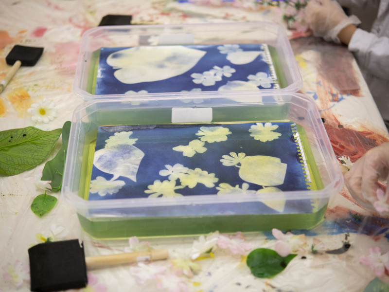 Cyanotype Prints