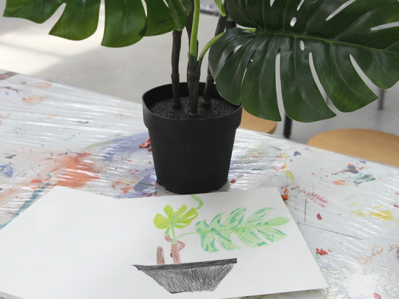 Drawing Plants