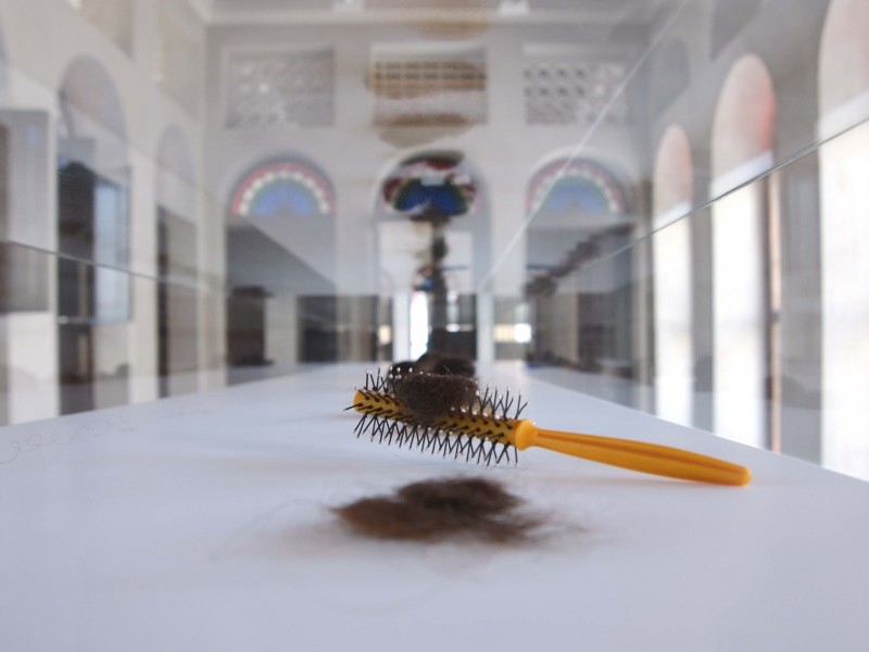 Hairs from the Hairbrushes of Palestinians