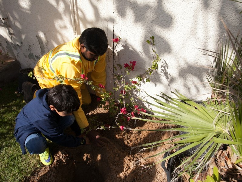 Basic Gardening