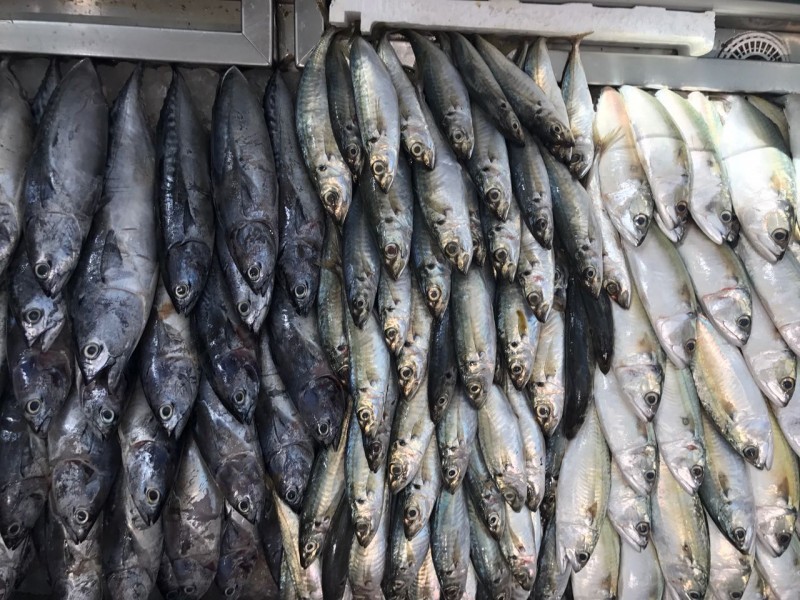 Preparing Maleh and Other Dried Fish