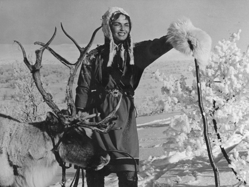 The White Reindeer (1952)