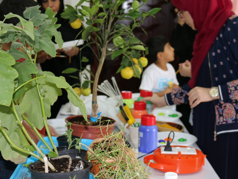 Hydroponic Farming