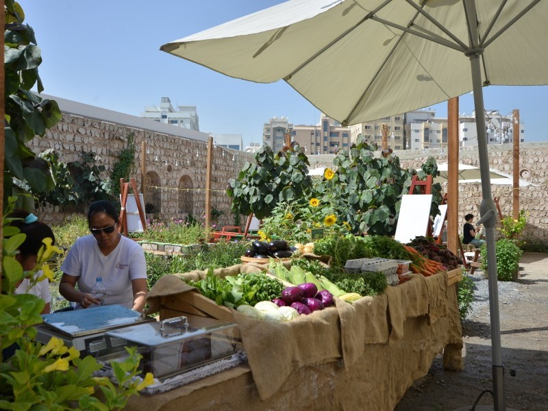 Open Day: Seed Swap and Potluck Lunch