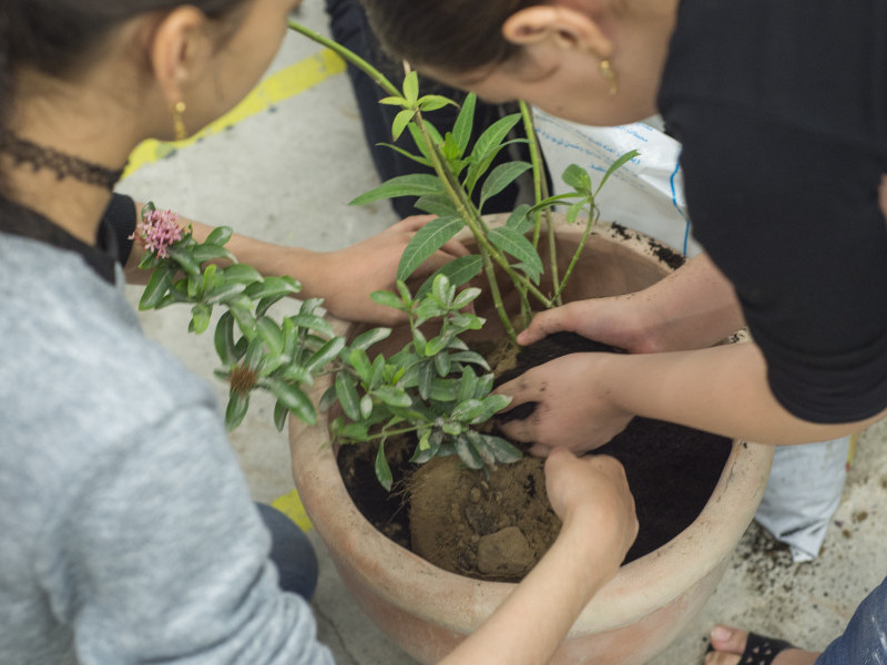 Urban Gardening for Mother’s Day