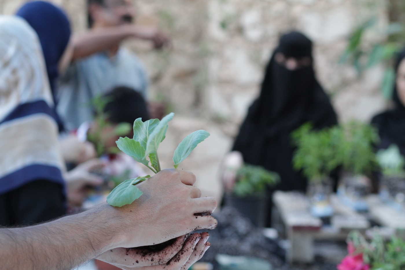 Vertical Gardening Workshop Image