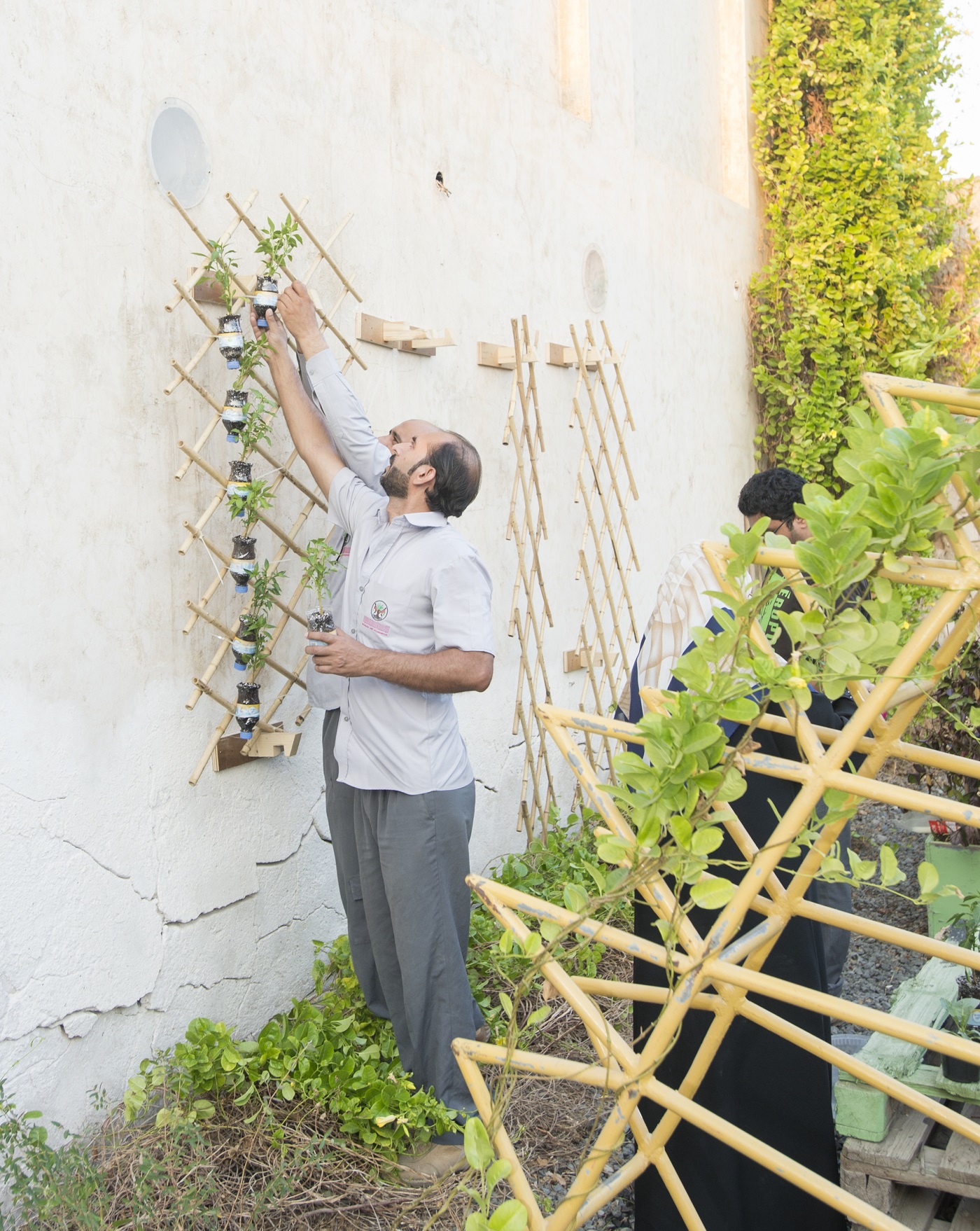 Vertical Gardening Workshop Image