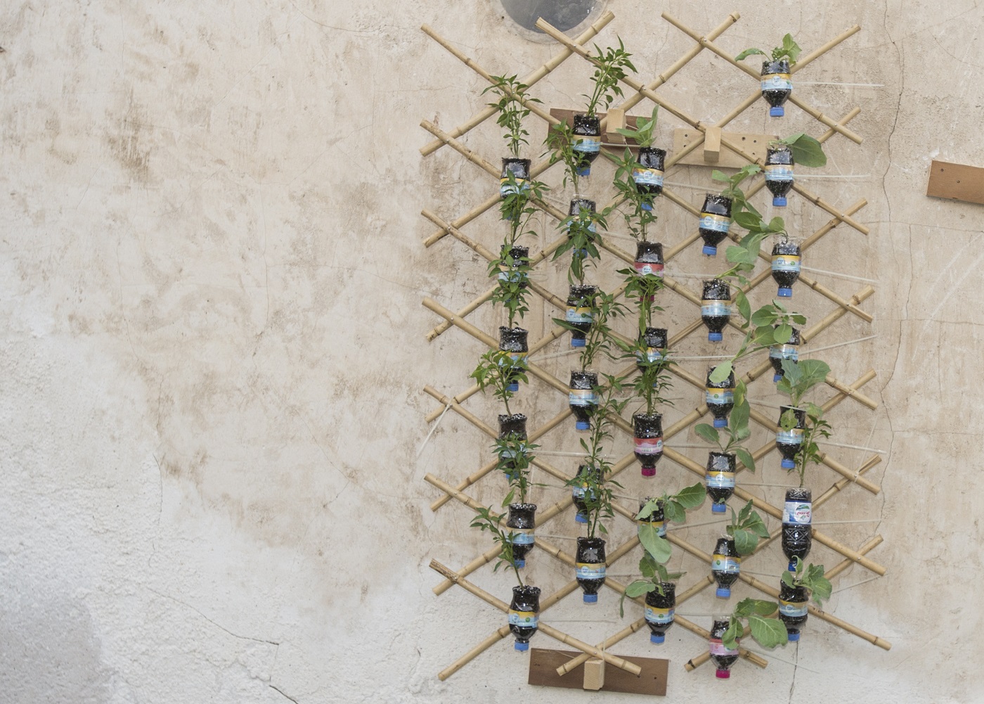 Vertical Gardening Workshop Image